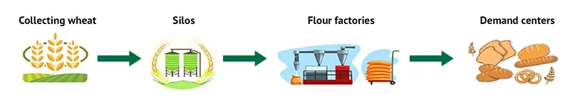 Visualization of a standard agricultural supply chain